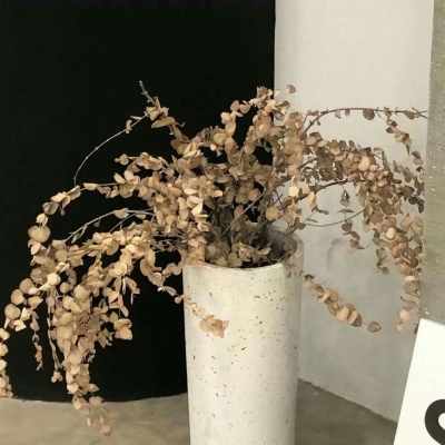 兽设背景故事创作福瑞交流群